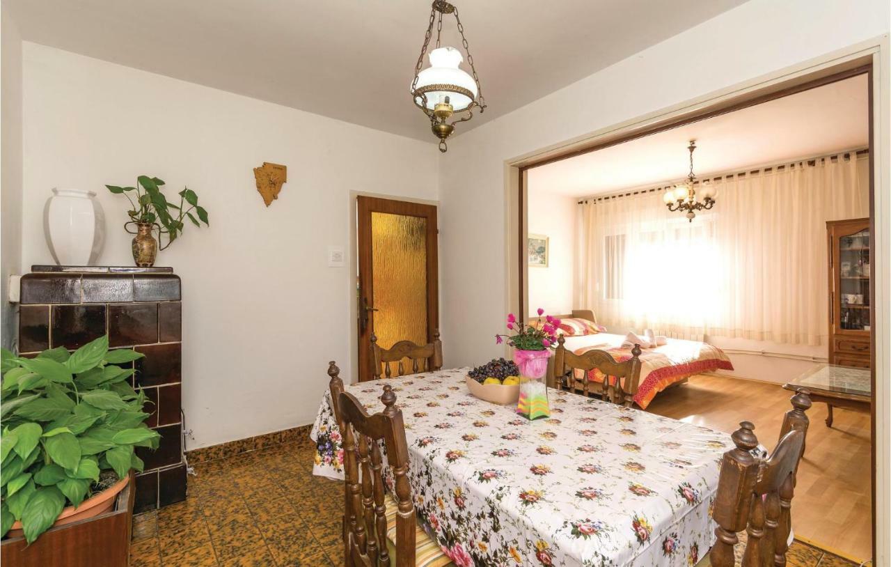 Cozy In With Kitchen Apartment